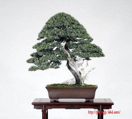 d523e1.jpg