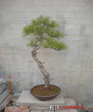 DSCN4389.JPG