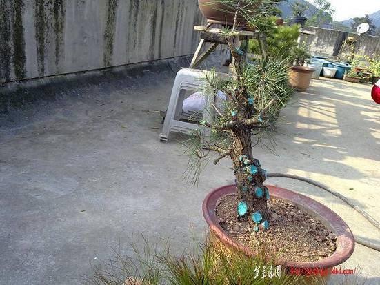 201104171304.jpg