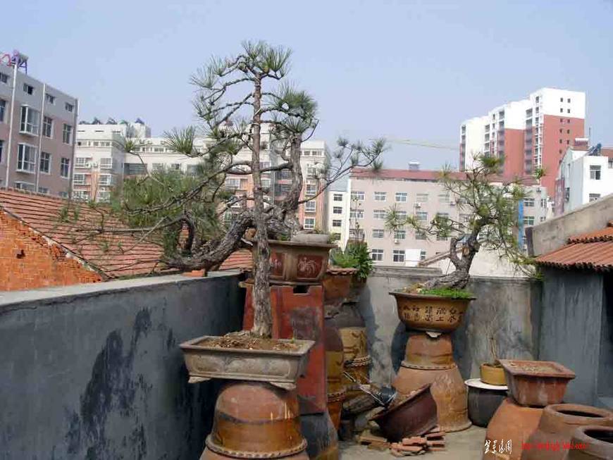 SDC12000.JPG