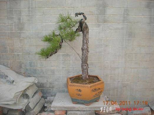 DSCN4405.JPG