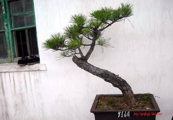 辰 022.jpg