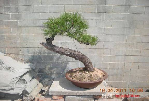 DSCN4425.JPG
