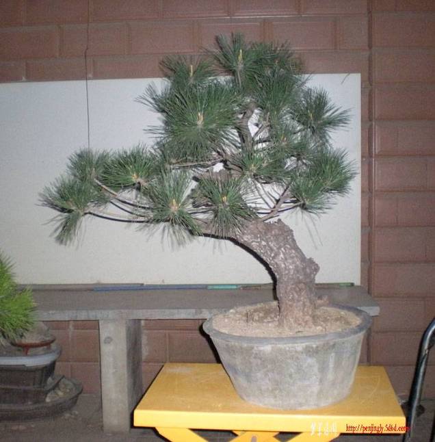 DSCN3306 .jpg