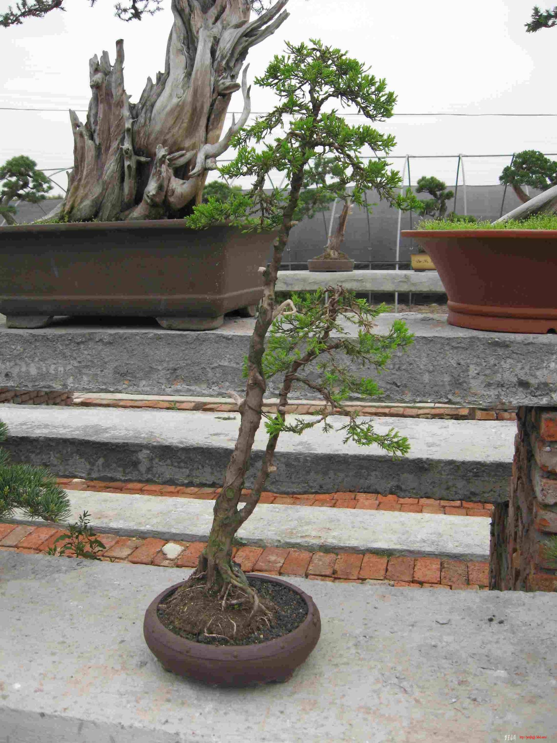 ÷԰ 044.jpg