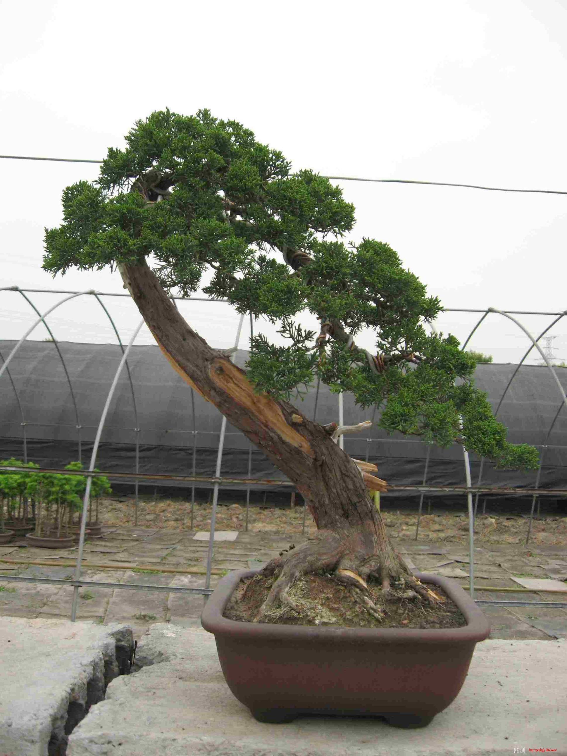 ÷԰ 023.jpg