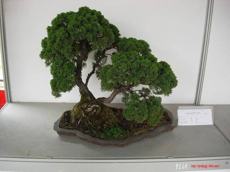 DSCN5320.JPG