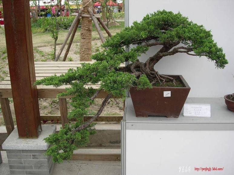 DSCN5354.JPG