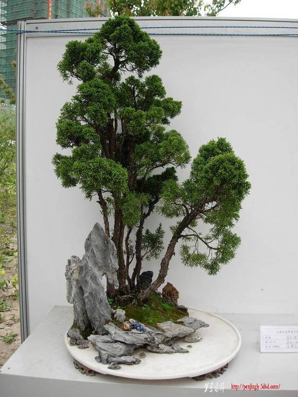 DSCN5326.JPG