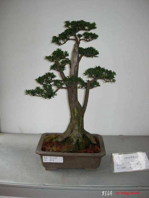 DSCN5343.JPG