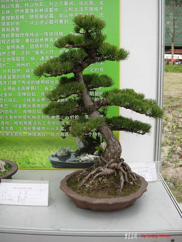DSCN5359.JPG