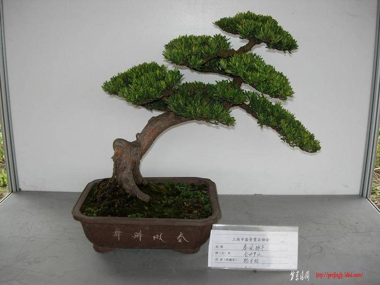 DSCN5368.JPG