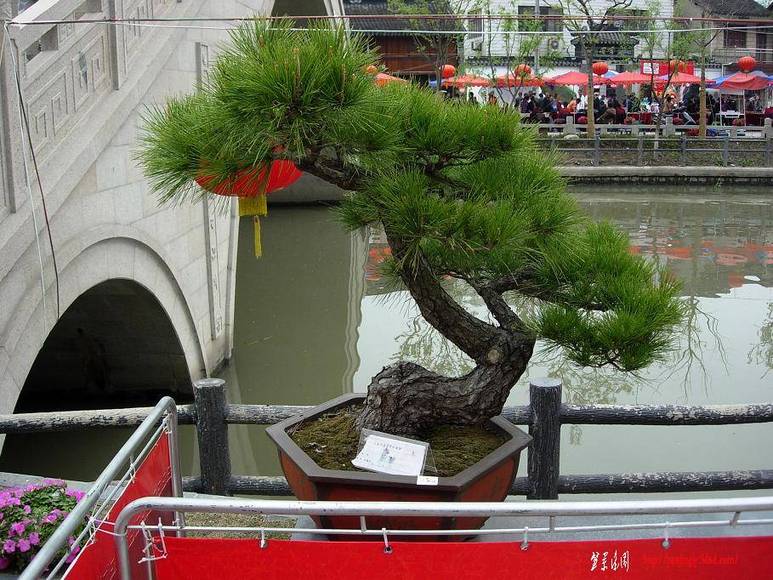 DSCN5483.JPG