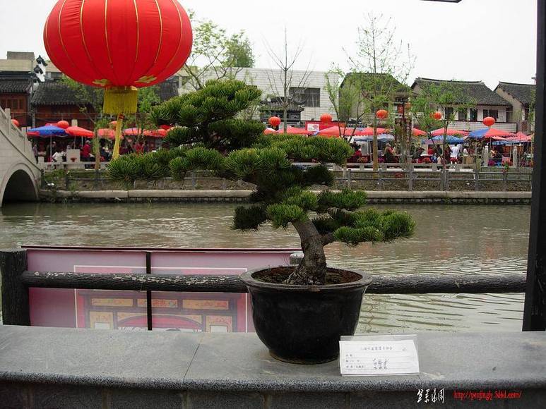 DSCN5490.JPG