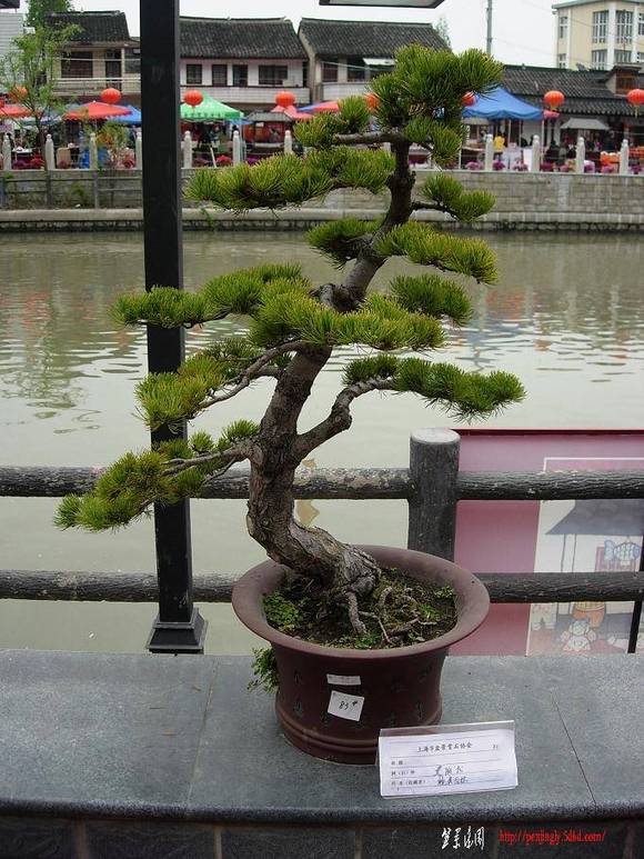 DSCN5501.JPG