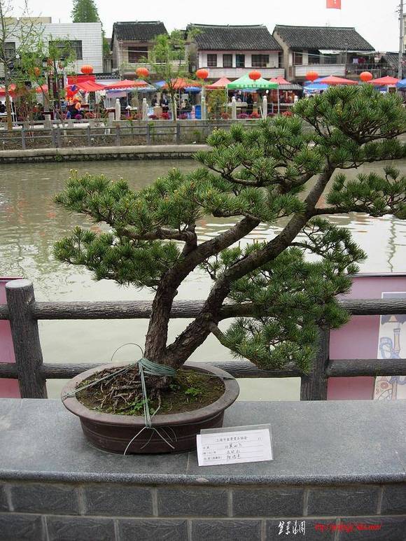 DSCN5499.JPG
