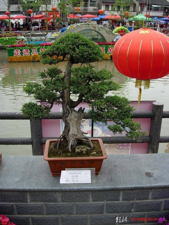 DSCN5493.JPG