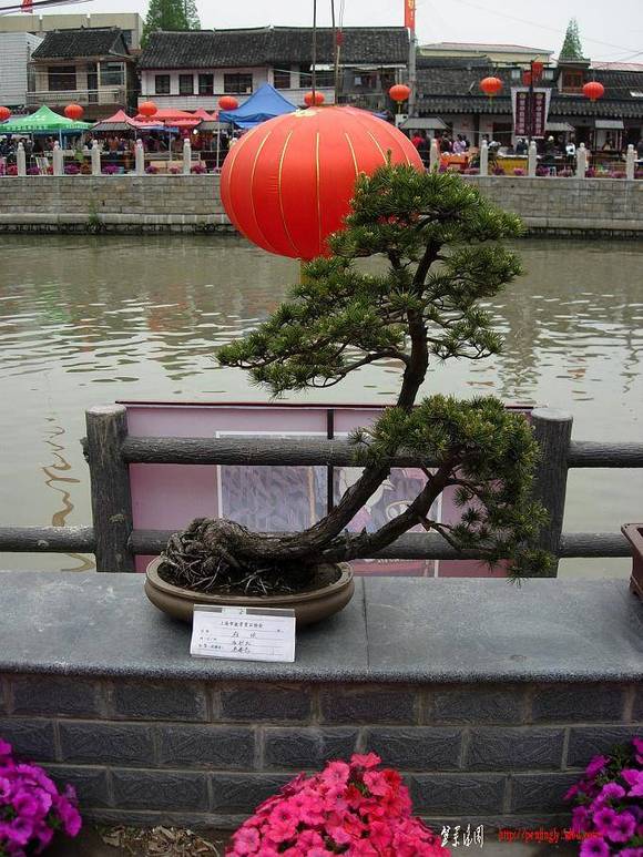 DSCN5512.JPG