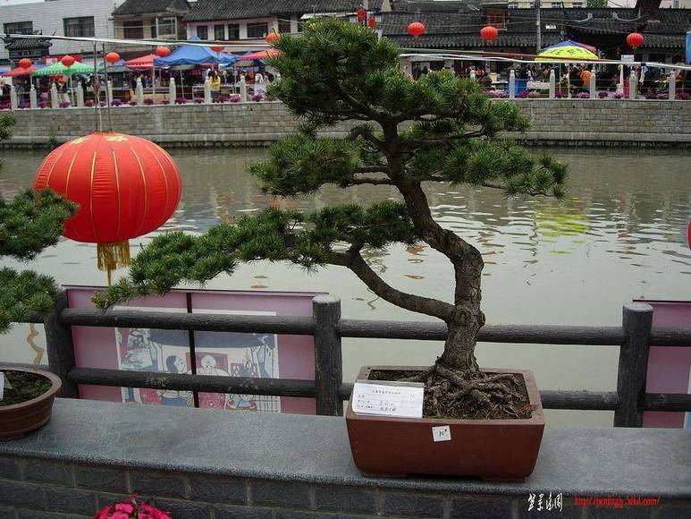 DSCN5519.JPG