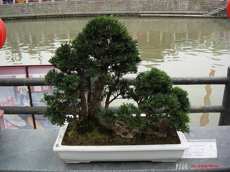 DSCN5523.JPG
