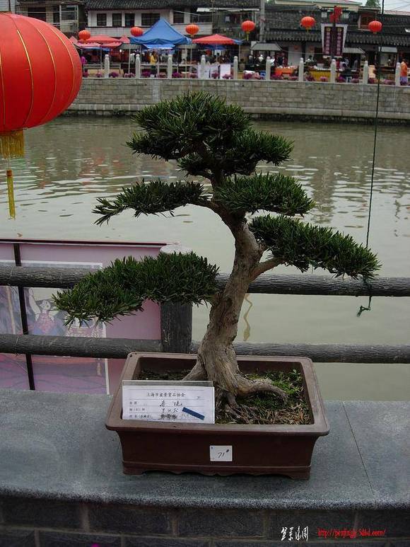 DSCN5513.JPG