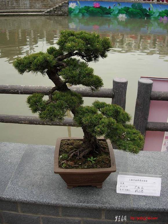 DSCN5535.JPG