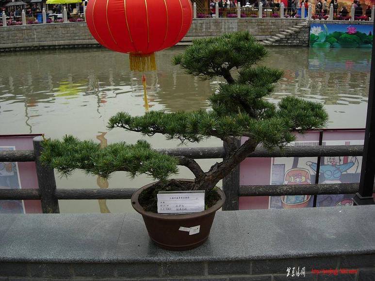 DSCN5526.JPG