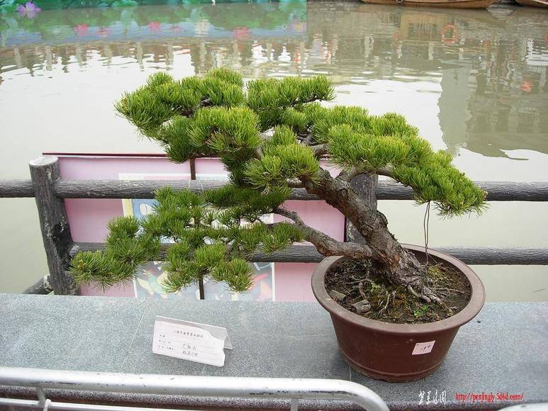 DSCN5540.JPG