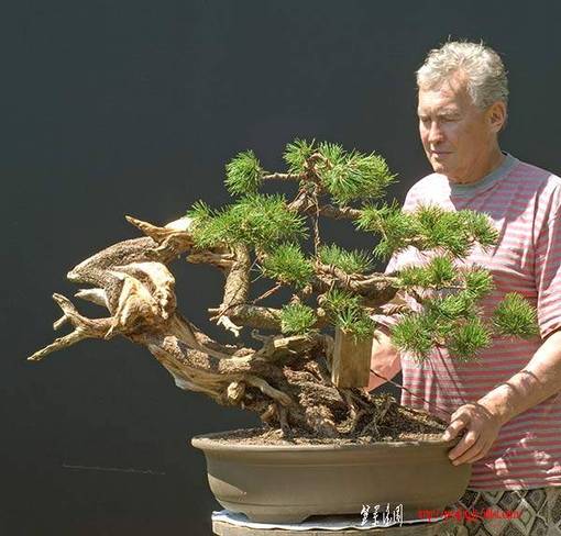 2008_07_nsc_6091v.jpg