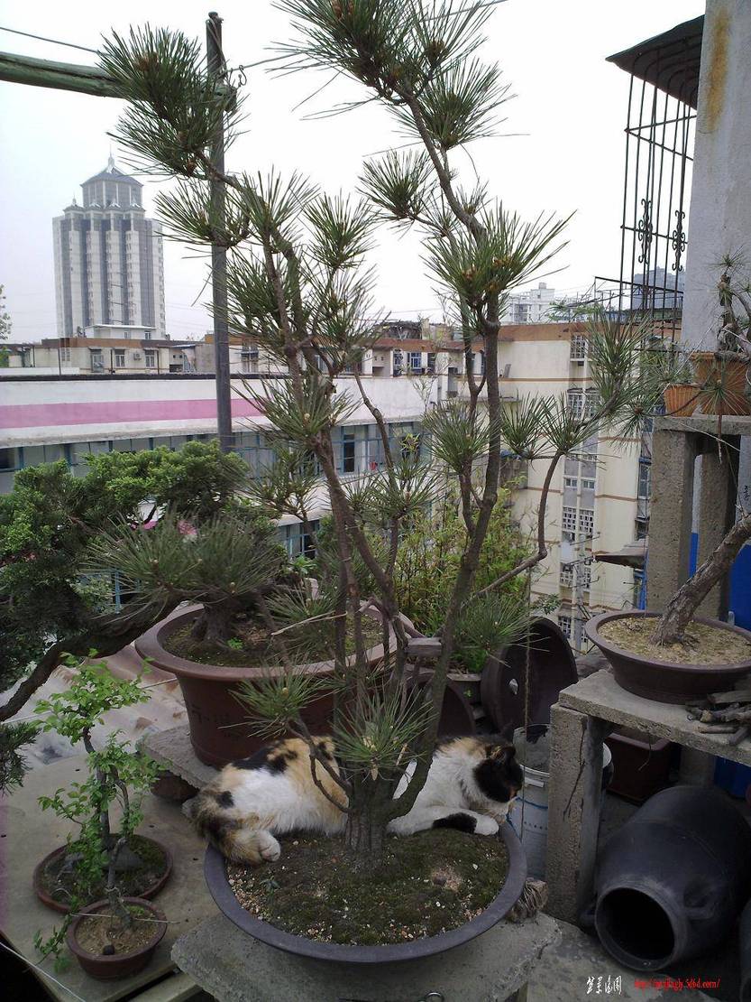 20110420282.jpg