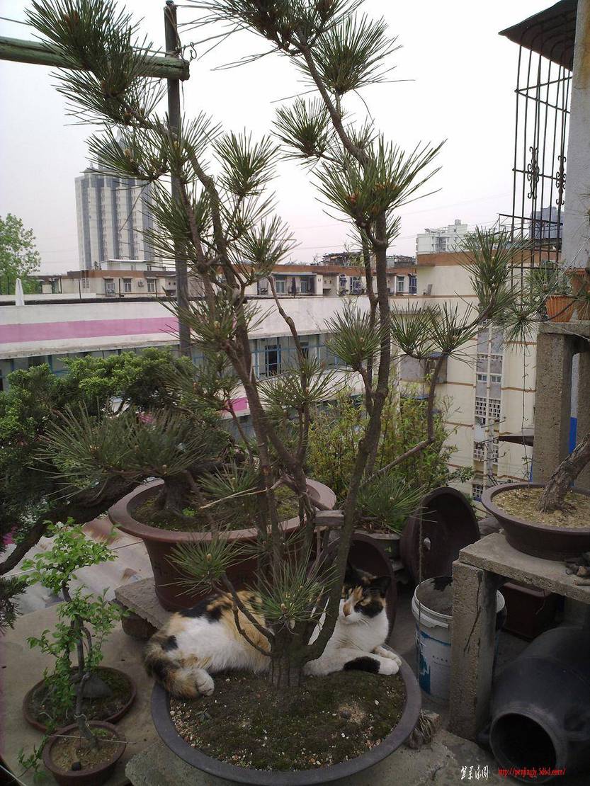20110420283.jpg