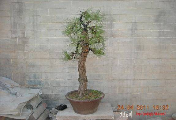 DSCN4459.JPG