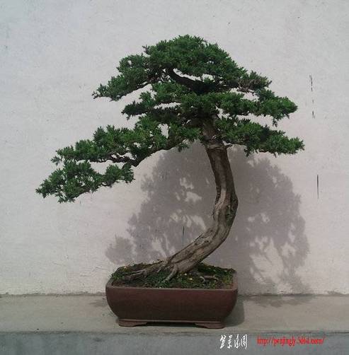 Ƭ0194.jpg