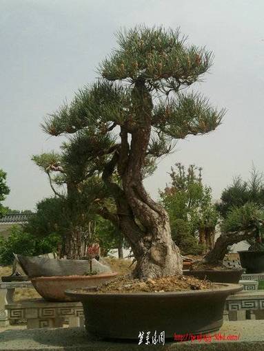 Ƭ0209.jpg
