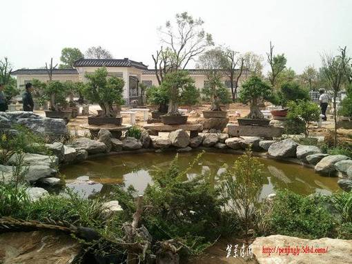 Ƭ0230.jpg