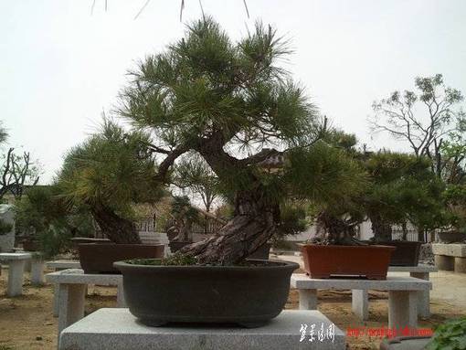 Ƭ0226.jpg