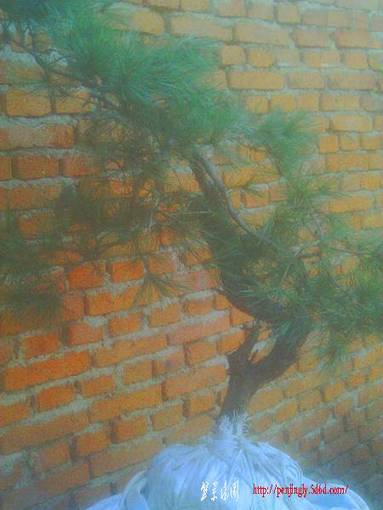 IMAG0030.JPG
