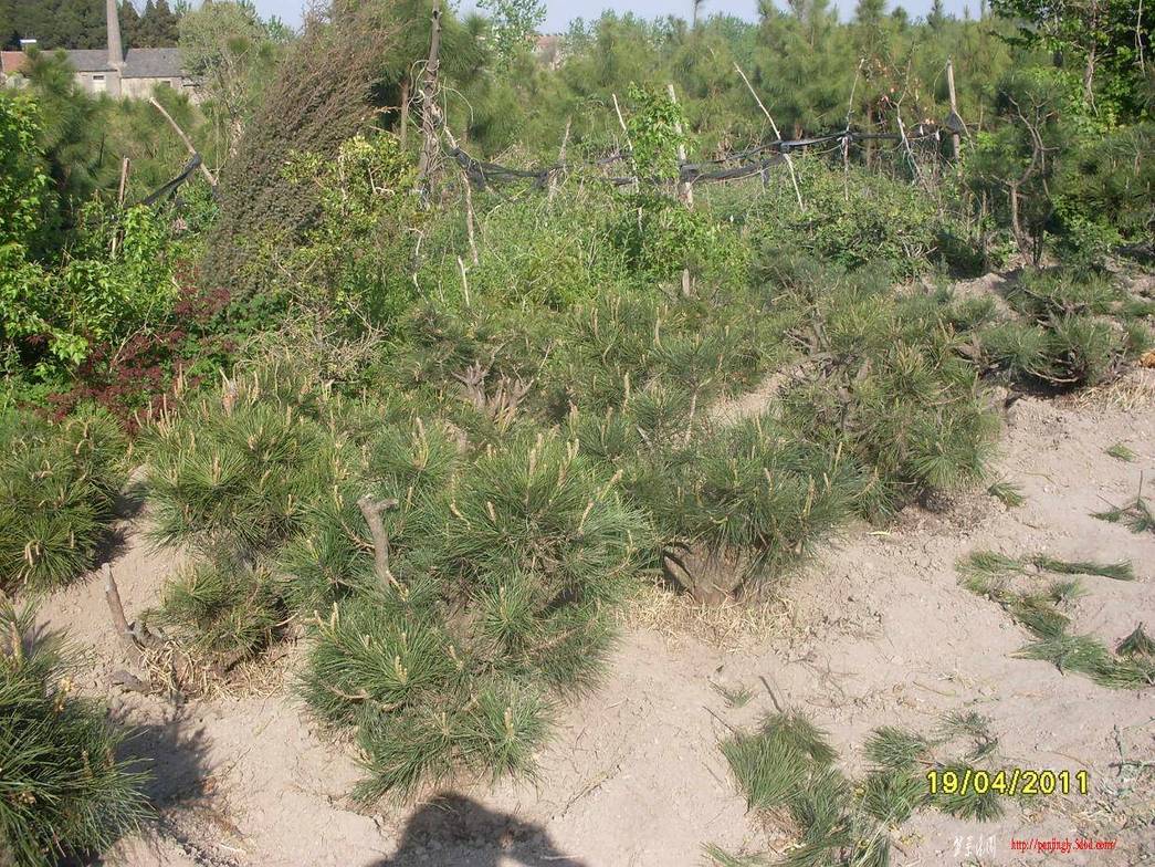 SDC13956.JPG