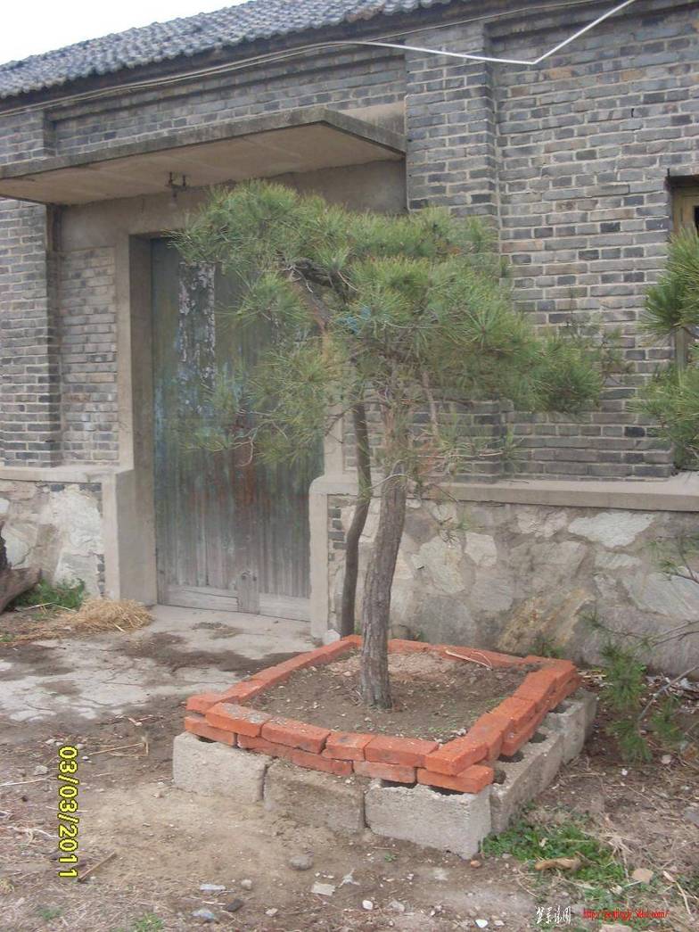 01.JPG
