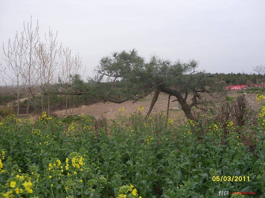 03.JPG