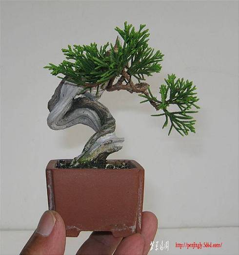 image3310.jpg
