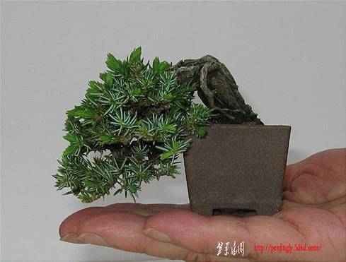 image44.jpg1.jpg