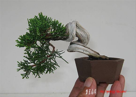 image333.jpg
