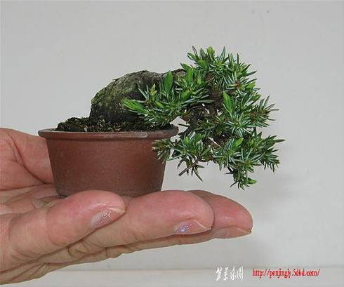 image456.jpg