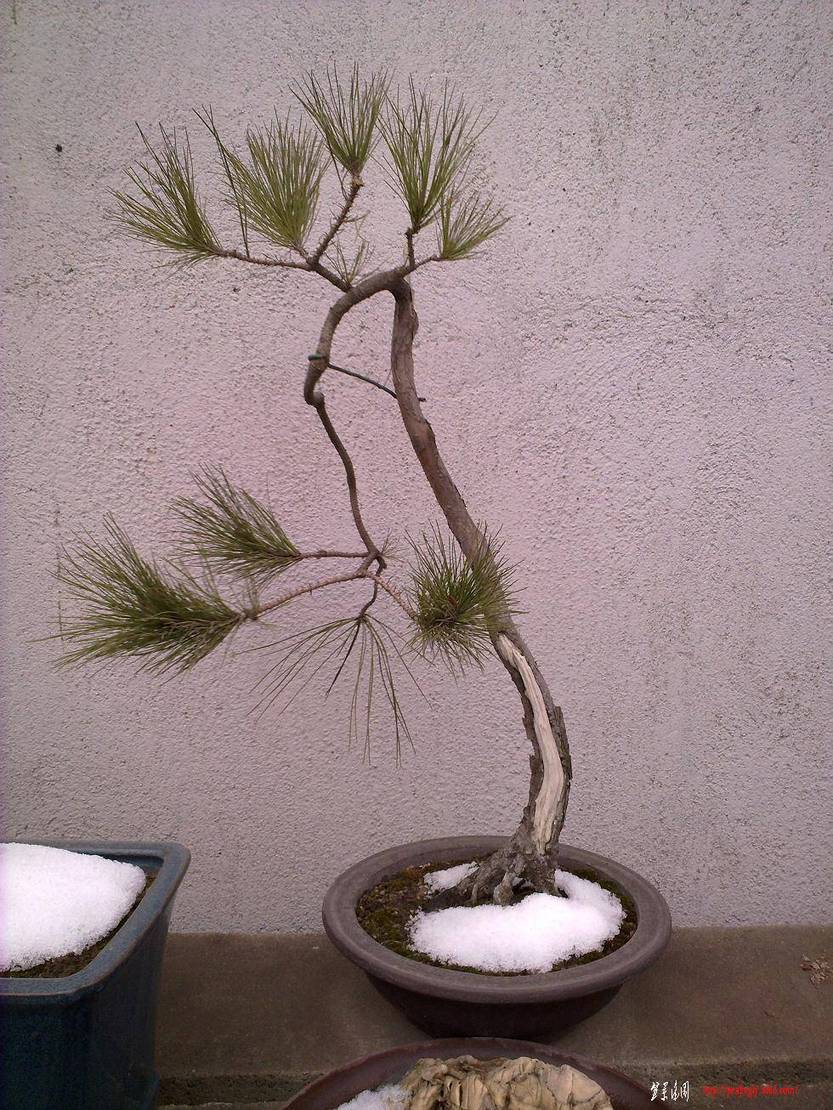 20110119053.jpg
