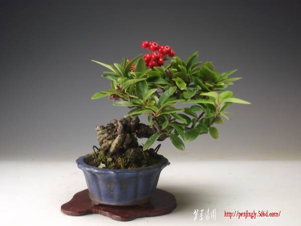 vert_moi2002-img600x450-1290338308u3dlv938390.jpg