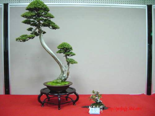19kai-kasai-takasi-dai.jpg