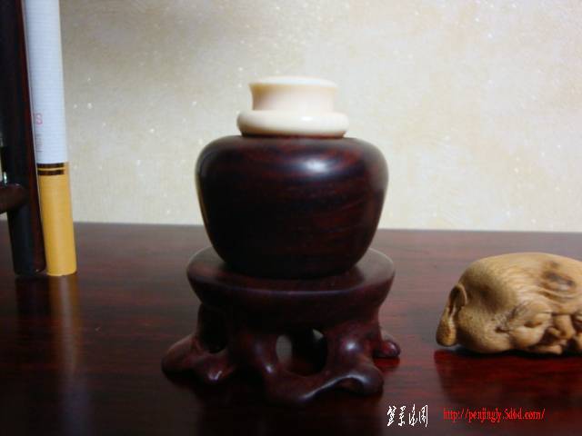 DSC04956.JPG
