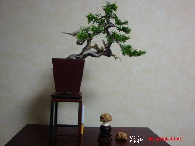 DSC04953.JPG