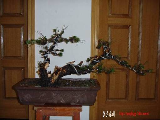DSC00068.JPG